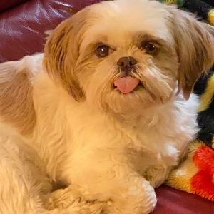 Meet your Posher, Melinda